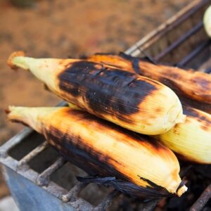 Grilled Parmesan Corn Cobs
